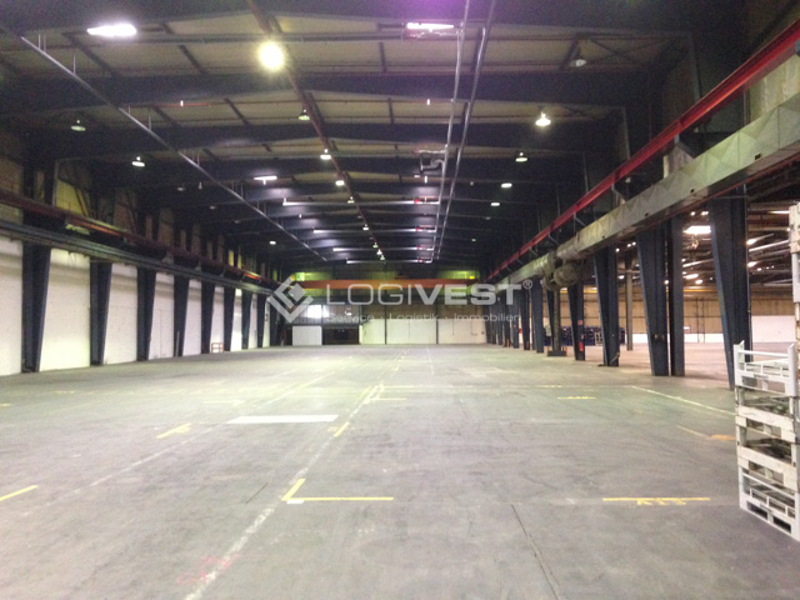 Logivest - Musterbild von Gewerbehalle – 1946