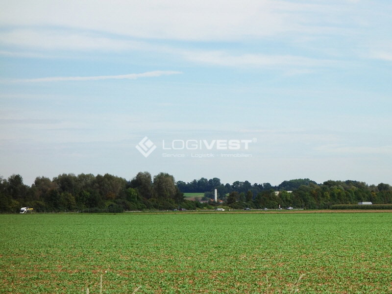 Logivest - Musterbild von Grundstück – 19944