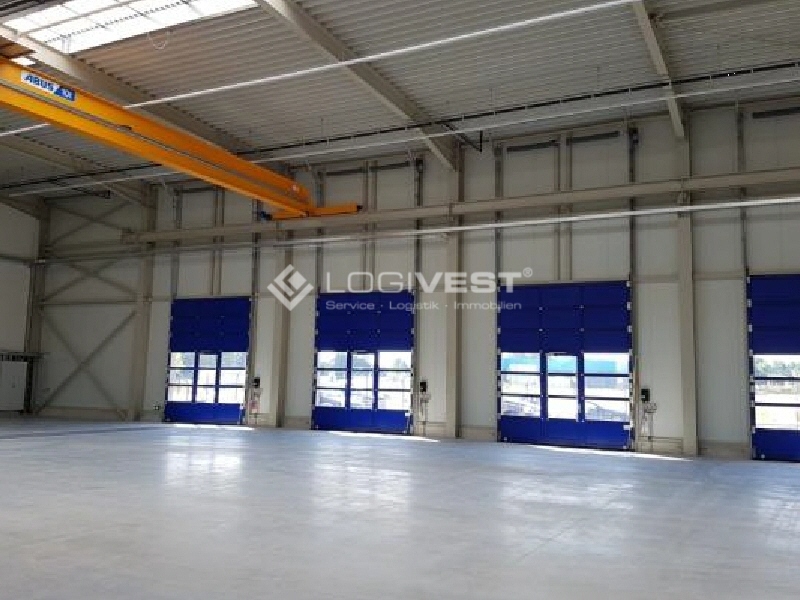 Logivest - Bild von Miethalle – 24399