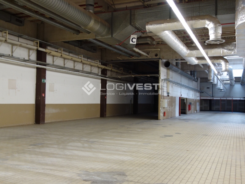 Logivest - Vorschaubild von Produktionshalle – 26899