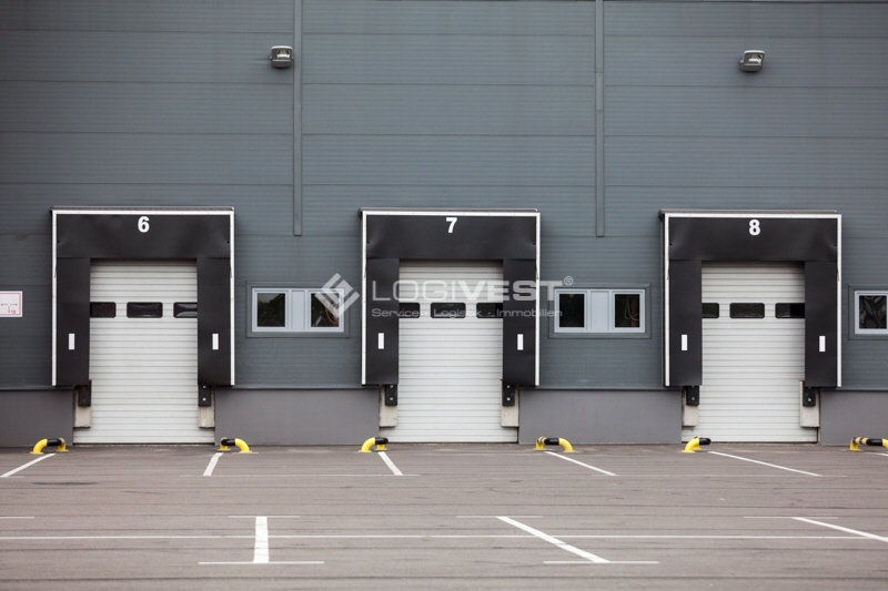 Logivest - Bild von Miethalle – 28374