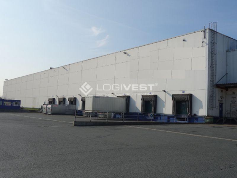 Logivest - Bild von Miethalle – 1393