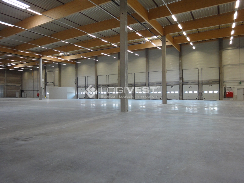 Logivest - Bild von Miethalle – 29328