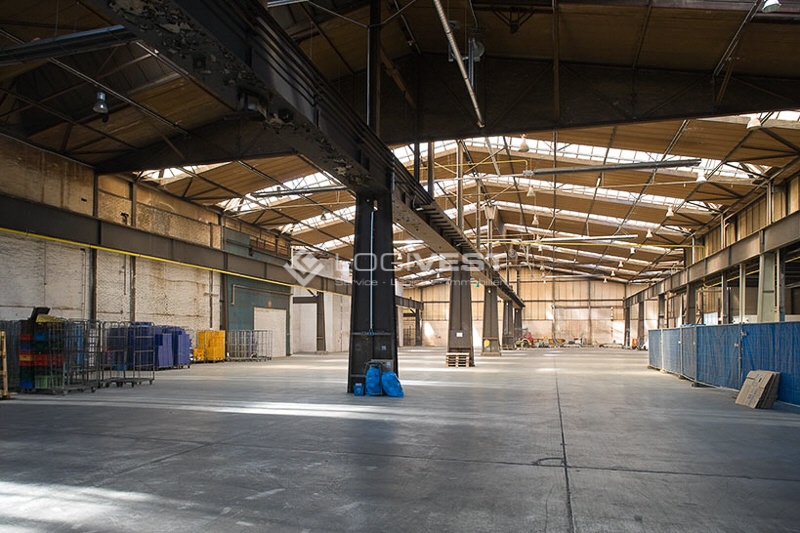 Logivest - Musterbild von Miethalle – 31913