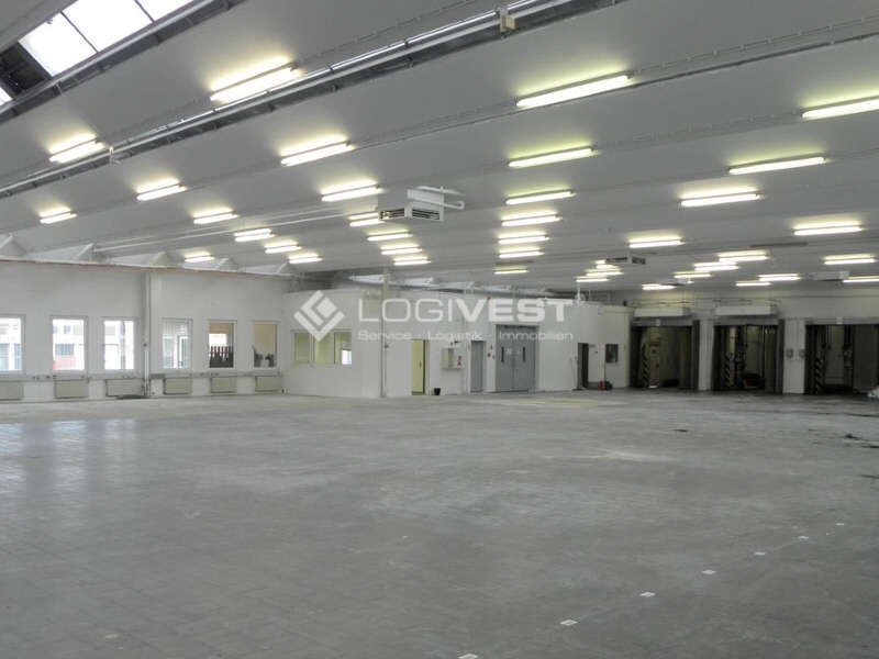 Logivest - Bild von Miethalle – 19209