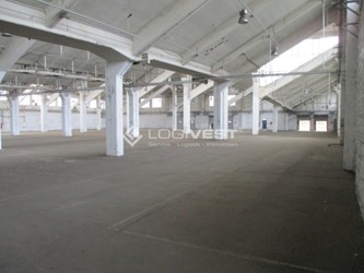 Logivest - Musterbild von Miethalle – 29601