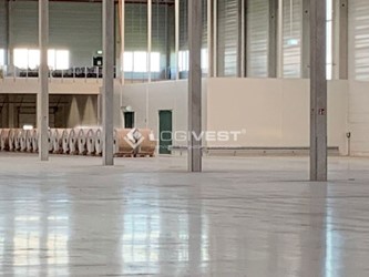 Logivest - Bild von Miethalle – 31572