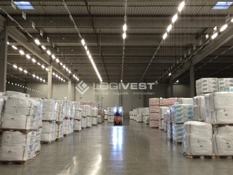 Logivest - Bild von Miethalle – 34192